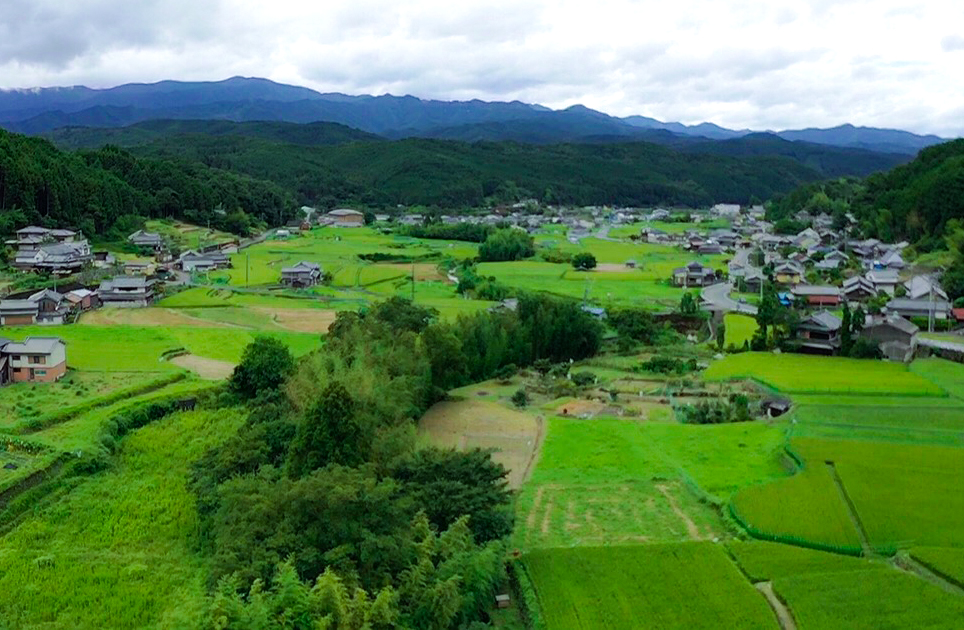 吉野びとがおすすめする綺麗な風景TOP10 | よしのーと