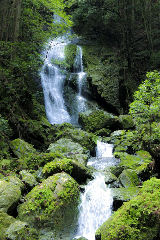 吉野びとがおすすめする綺麗な風景top10 よしのーと