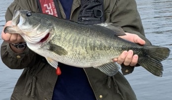 津風呂湖でのバス釣り体験は最高です よしのーと